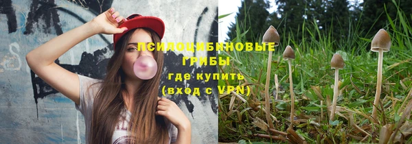 Альфа ПВП Володарск