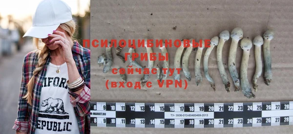 соль ск Верхний Тагил