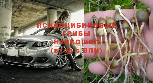 ALPHA PVP Волоколамск