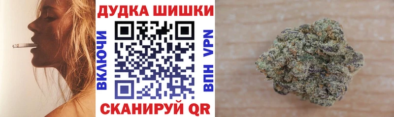 Каннабис сатива  продажа наркотиков  KRAKEN зеркало  Сургут 